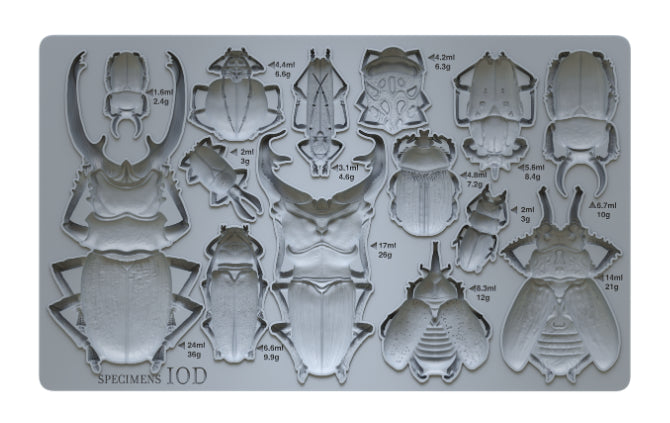 Iron Orchid Design SPECIMENS 6×10 DECOR MOULD™-BluebirdMercantile