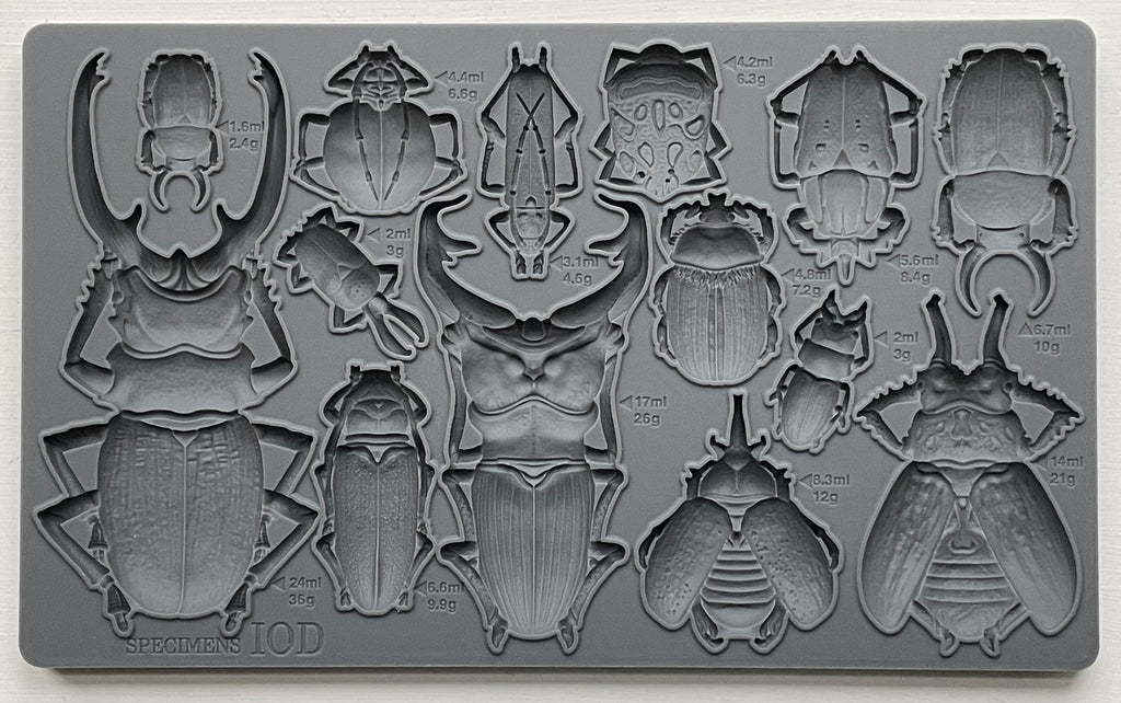 Iron Orchid Design SPECIMENS 6×10 DECOR MOULD™-BluebirdMercantile