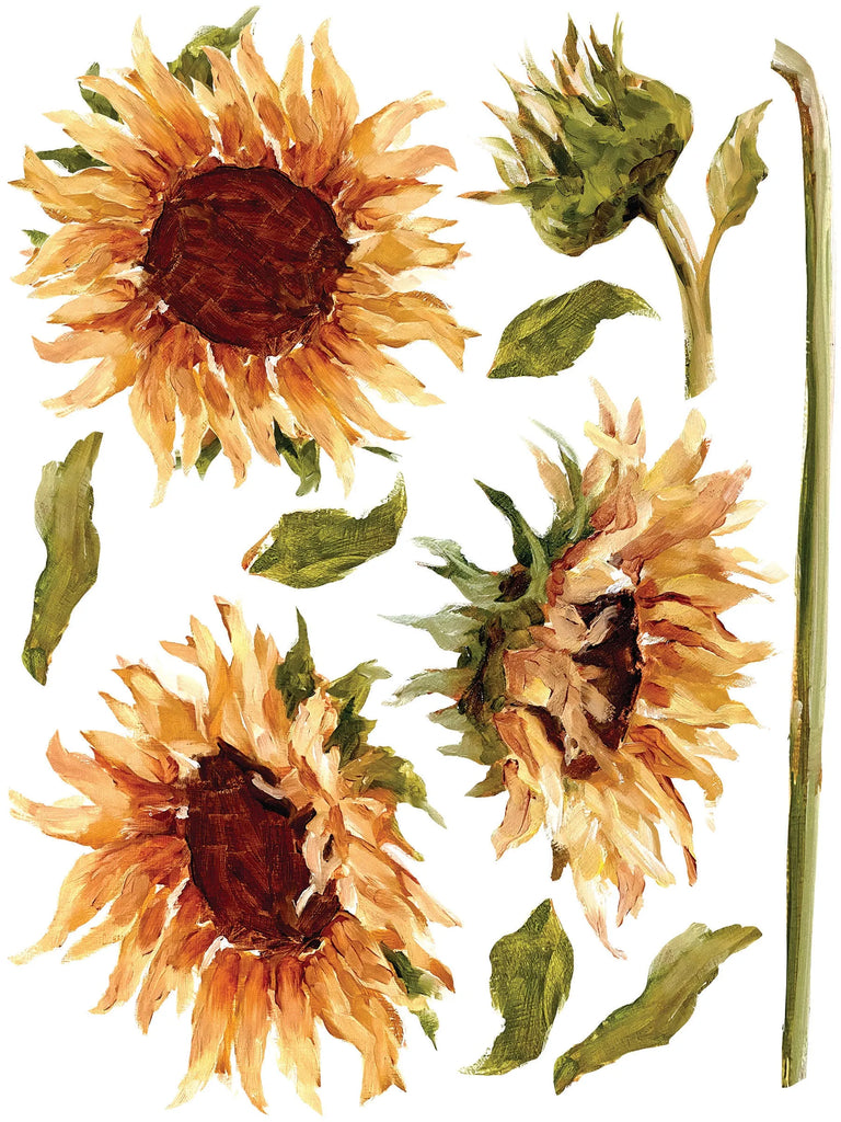 Iron Orchid Designs Painterly Floral 8 pages of 12 x 16  Decor Transfers In Stock!-BluebirdMercantile