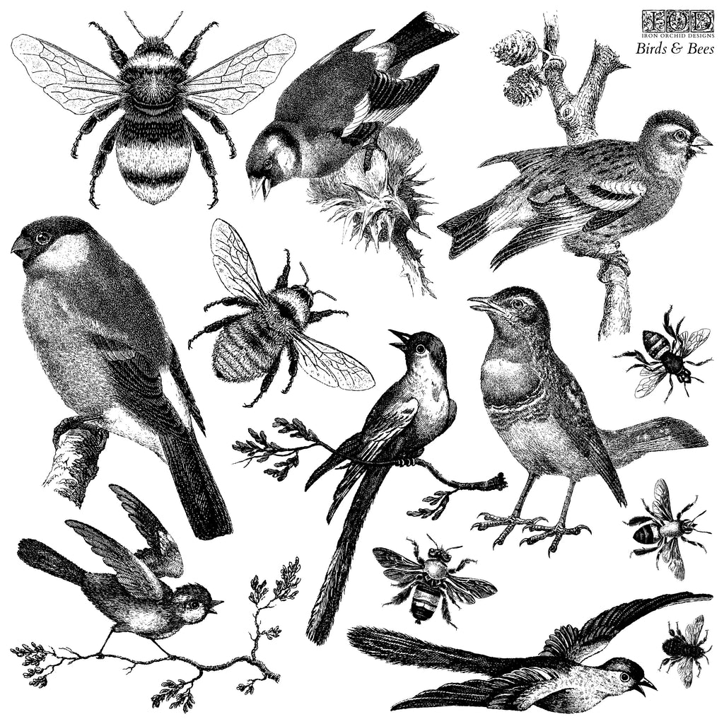 Iron Orchid Designs Spring IOD 2023 Birds & Bees Decor Stamp 12 x 12-BluebirdMercantile